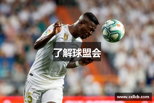 了解球盟会